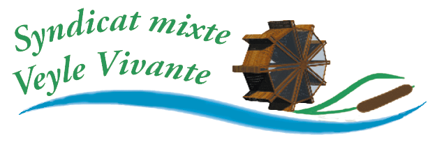 Logo Veyle Vivante