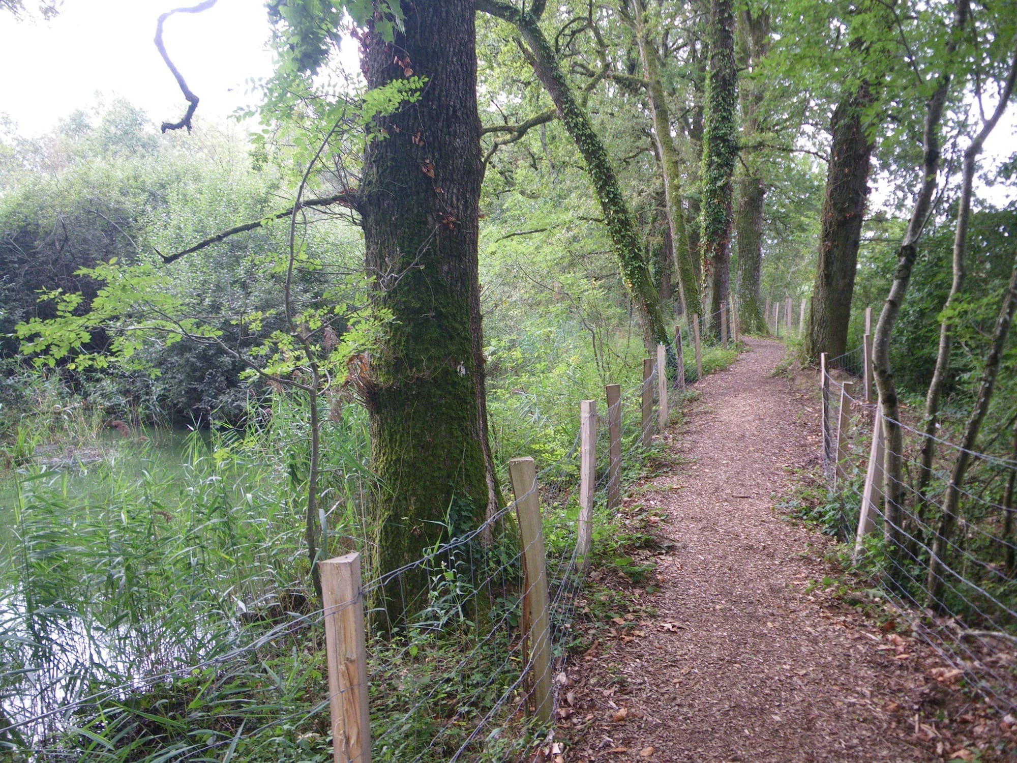 Le sentier matérialisé en pérophérie