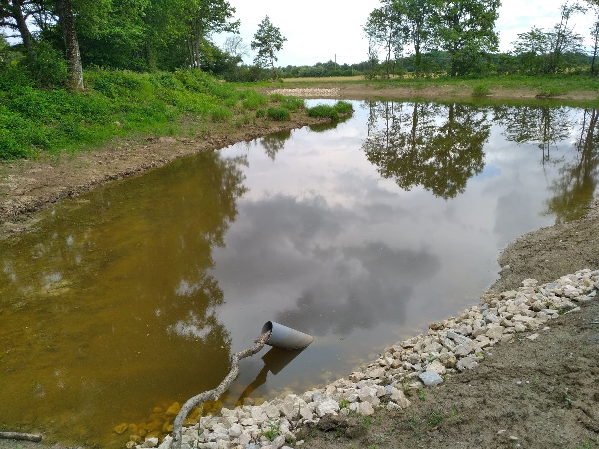 Requalification d'un ancien bassin d'alevinage à Marlieux