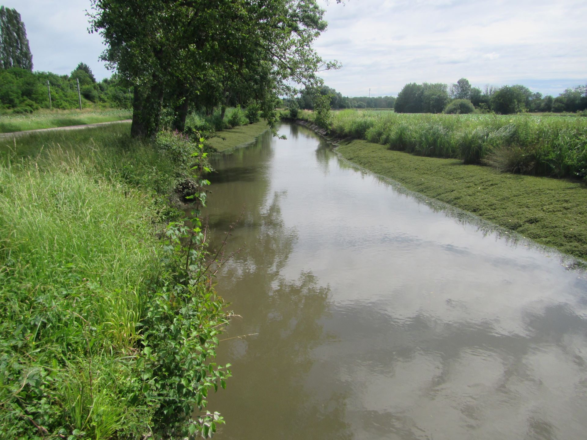 Canal de retenue de l'usine de Polaizé (2021)