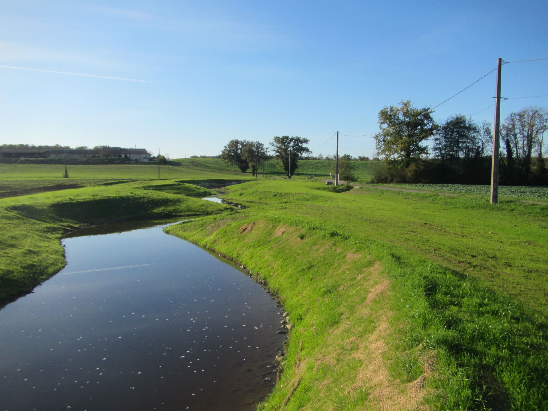 Développement des semis prairiaux issus de la récoltes de graines sur des prairies locales (novembre 2022)