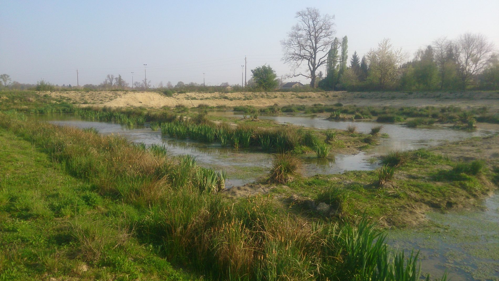 ZTHA créée en dérivation sur un fossé dombiste - SMVV