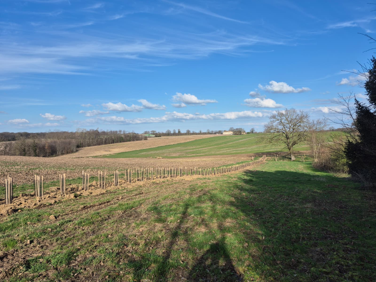 Plantation de haies - SRDCBS
