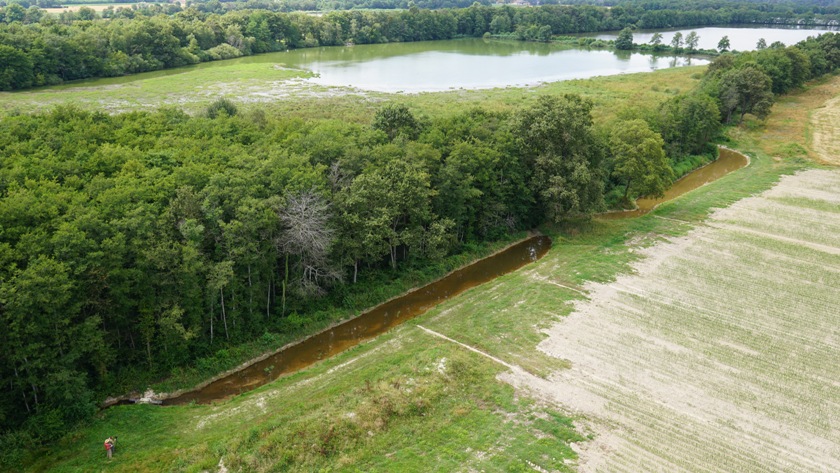 Aménagement de zones humides sur le réseau de fossés dombistes