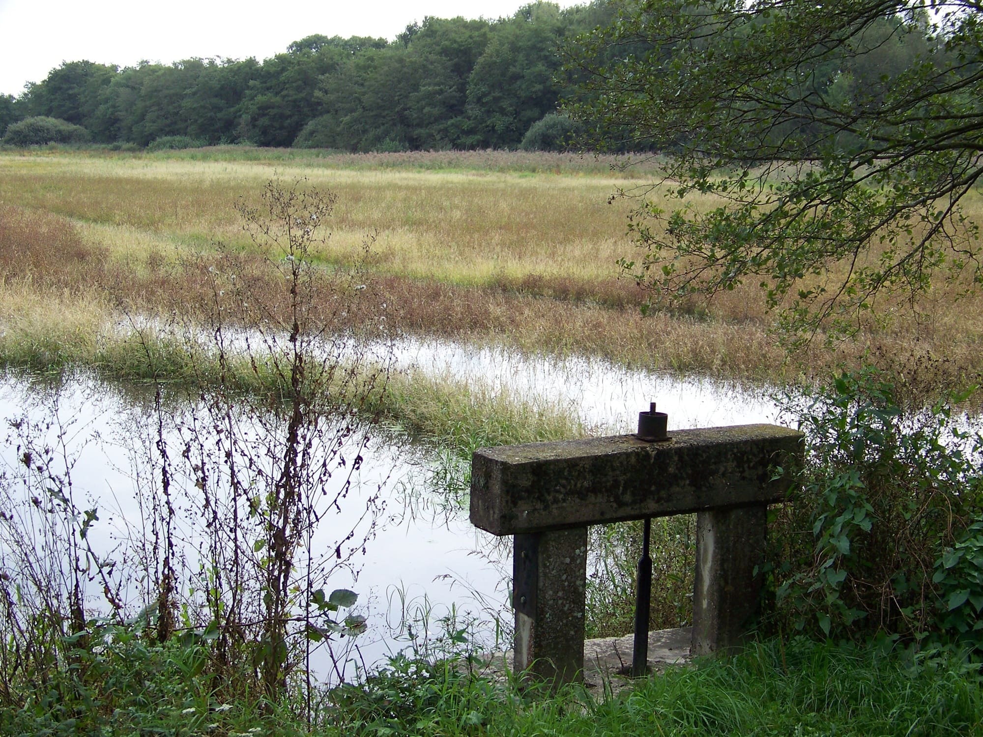 Les étangs de la Dombes