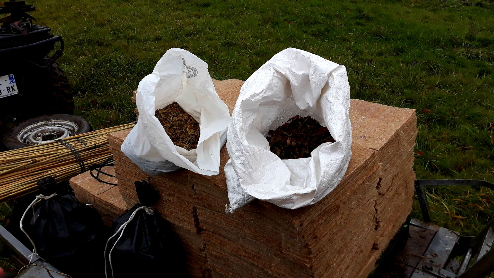Utilisation de semences d'arbres et arbustes