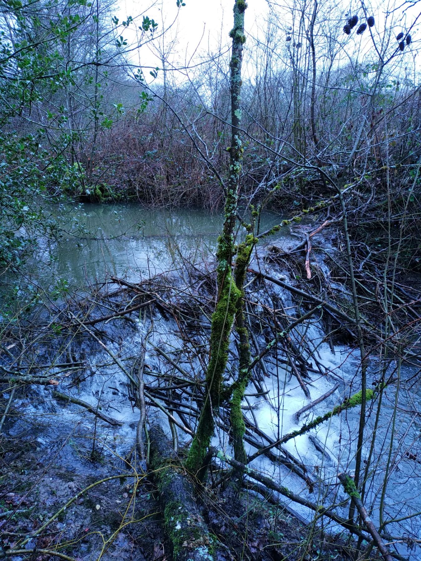 Barrage de branchage et de terre