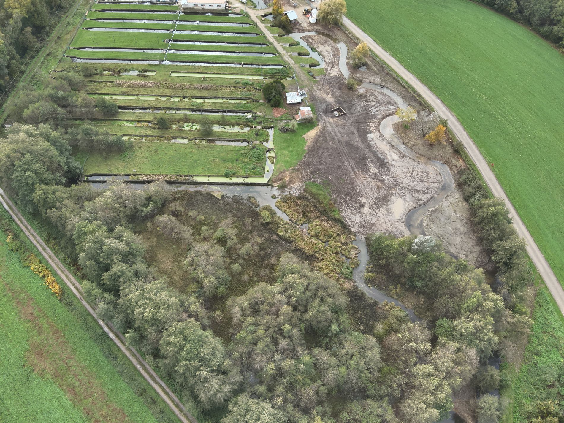 Zone humide riveraine du site de travaux