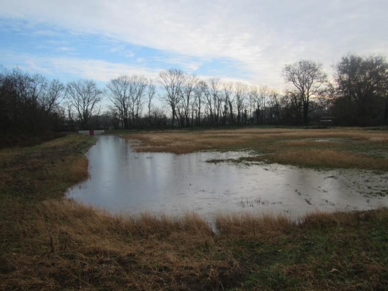 de l'actualité sur Agrandissement de la frayère du moulin du pont, à perrex