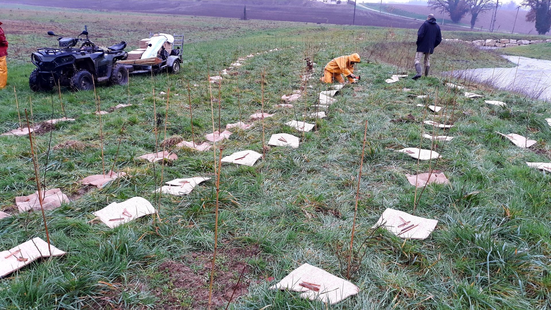 de l'actualité sur Plantations forestières en bord de Veyle à La Frétaz (Servas)